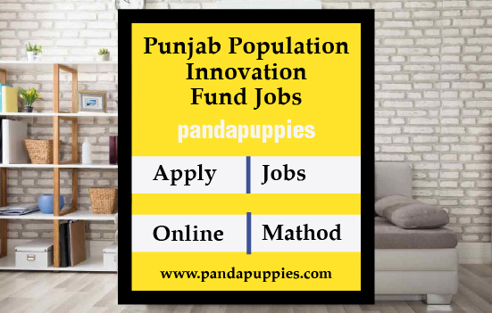 Punjab Population Innovation Fund Jobs 2023