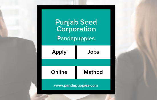 Punjab Seed Corporation Jobs 2023
