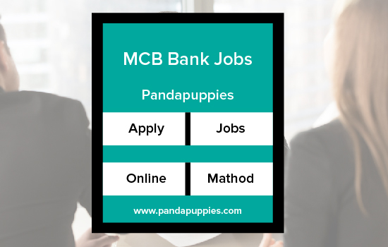 MCB Bank Jobs 2024